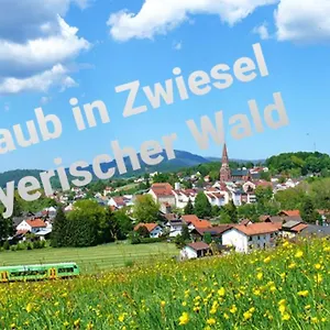 Apartment Ferienwohnung Rachel Im Bayerischen Wald, Zwiesel